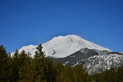 DSC_5902 (Large).JPG